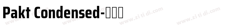 Pakt Condensed字体转换
